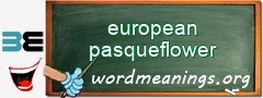 WordMeaning blackboard for european pasqueflower